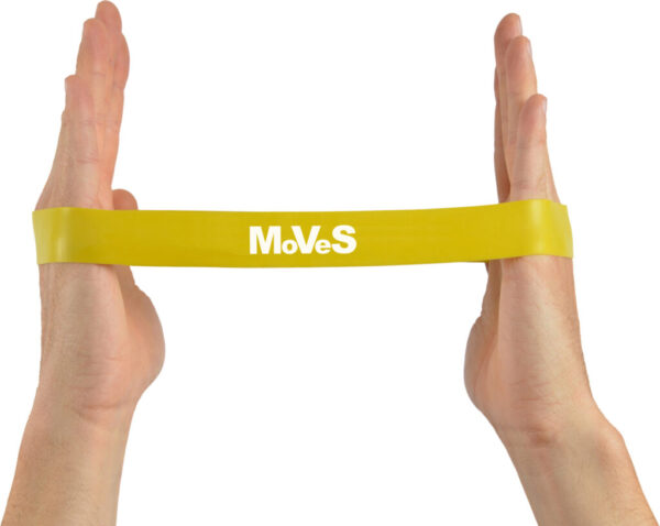 MoVeS treeninglint 2,5*30cm must