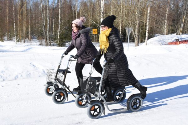 Esla CityMax 3800 tõukeratas / tõukeraam pronks - Image 2