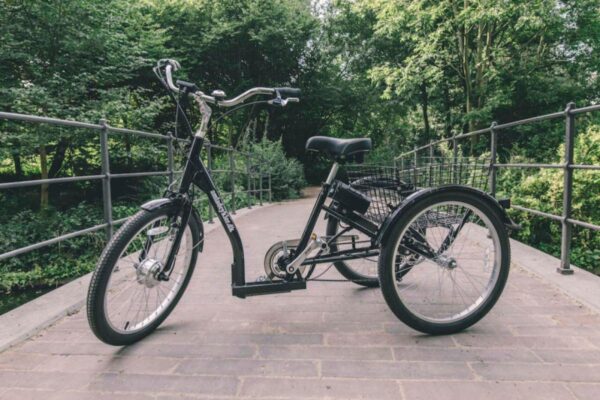 Kolmerattaline elektrijalgratas AMLADCYKLER Lightweight Tricycle - Image 4