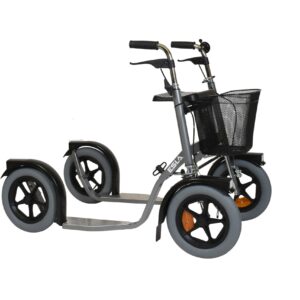 esla citymax 3800
