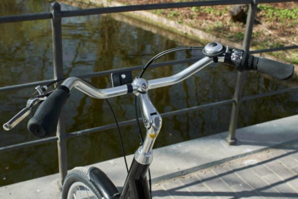 Kolmerattaline jalgratas AMLADCYKLER Adult Tricycle - Image 4