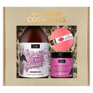 Kinkekomplekt LaQ Class&Success LUX